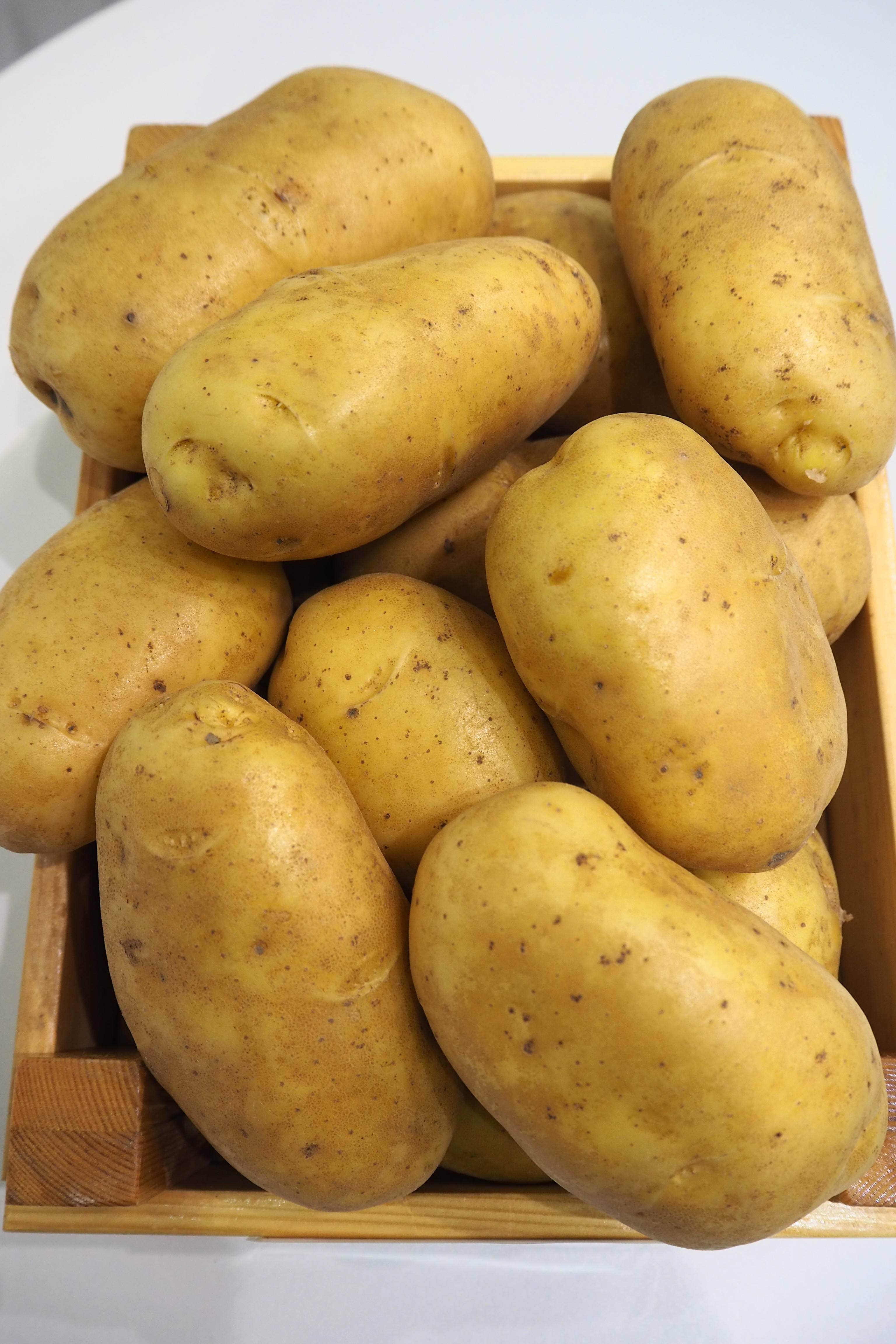 Краснощекий картофель любава. от описания до отзывов