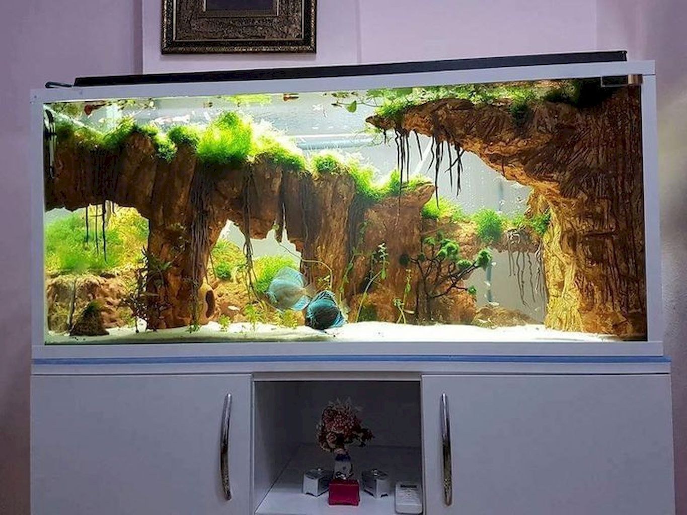 аквариум оформление задней стенки